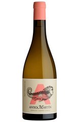 Anxo Martín Ribeiro