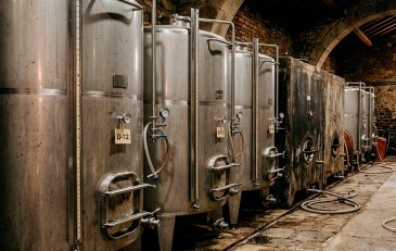 Diferencias en la elaboración de vinos tintos, blancos y rosados
