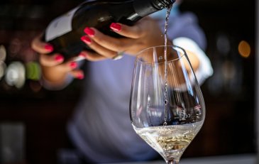 El encanto de la Sauvignon Blanc: Un viaje a través de sus aromas
