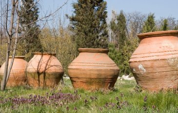 El vino en la Península Ibérica: una historia milenaria en cada copa