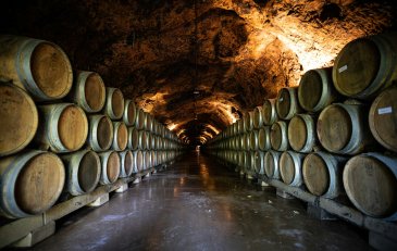 Fermentación y crianza: cómo se hacen los vinos que amamos