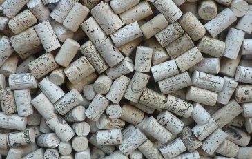 Los Corchos y sus características