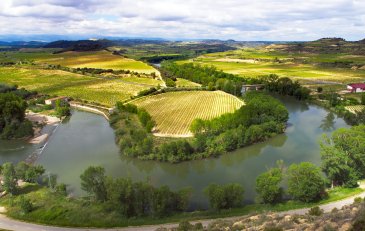Rioja: Un viaje por la D.O.Ca más emblemática